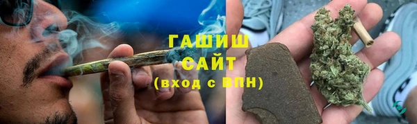 индика Белоозёрский